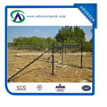 Farm Used Galvanized Steel Y Zaunpfosten / Star Picket